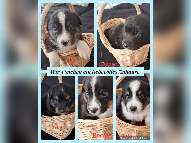 Sie sind endlich da 4 Mädels und 5 Jungs