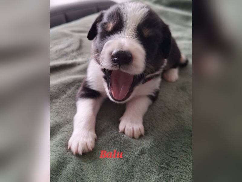 Sie sind endlich da 4 Mädels und 5 Jungs