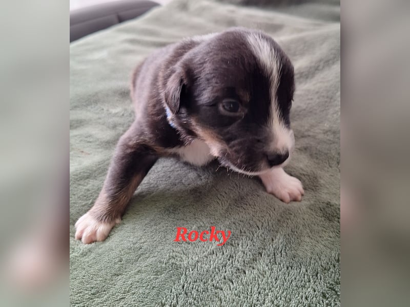 Sie sind endlich da 4 Mädels und 5 Jungs