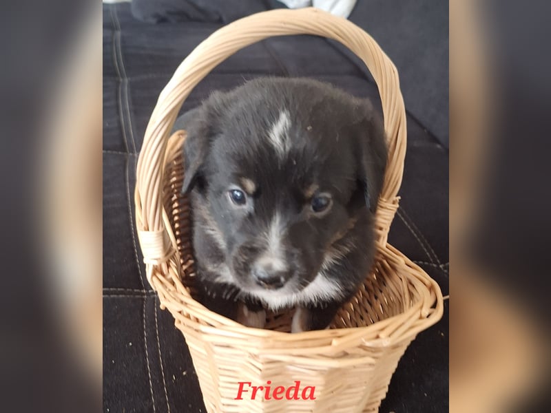 Sie sind endlich da 4 Mädels und 5 Jungs
