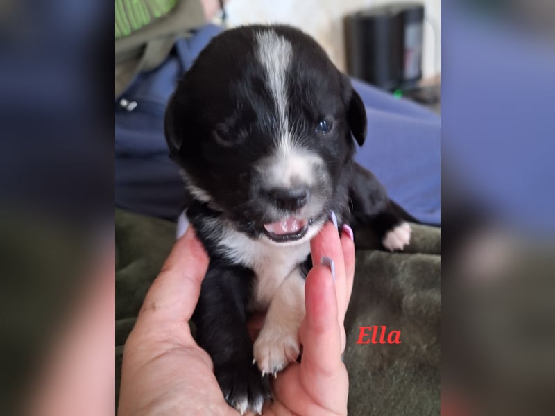 Sie sind endlich da 4 Mädels und 5 Jungs
