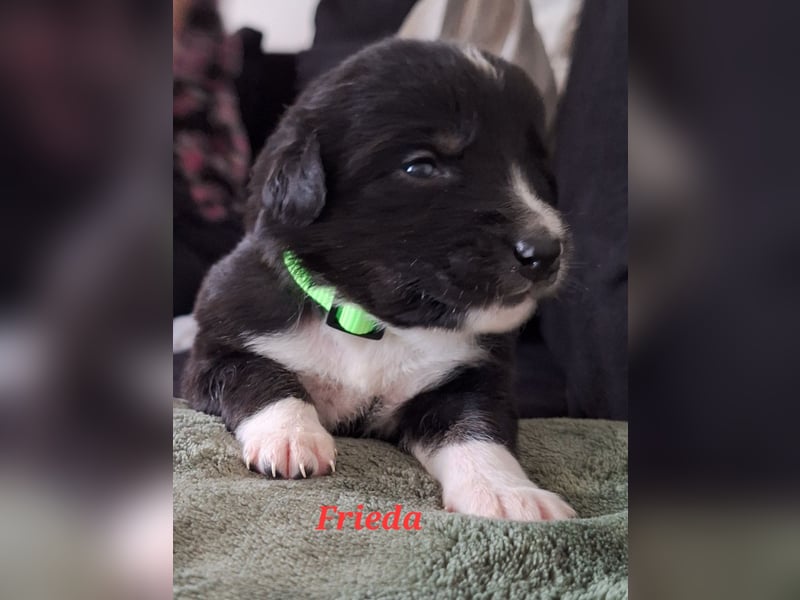 Sie sind endlich da 4 Mädels und 5 Jungs