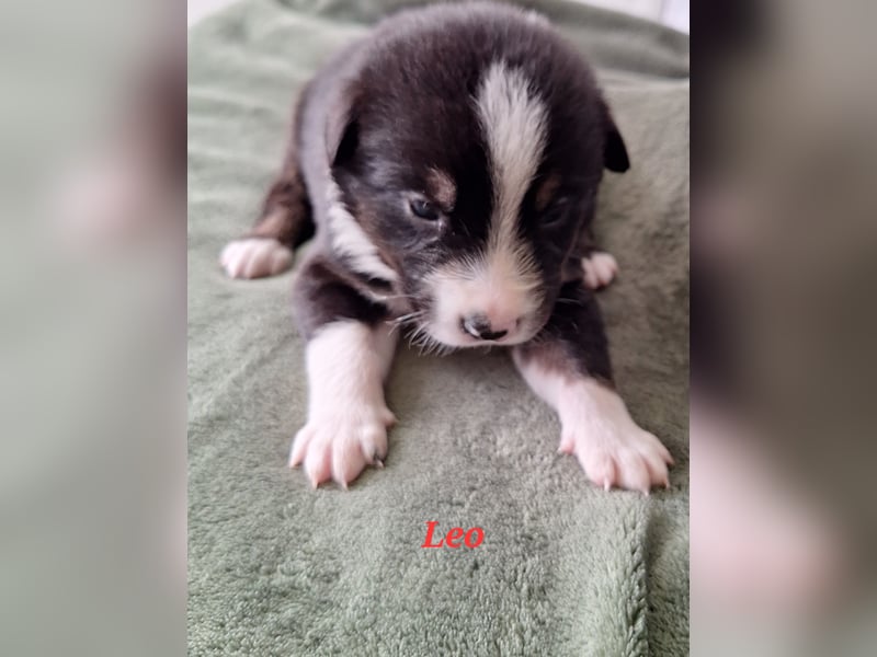Sie sind endlich da 4 Mädels und 5 Jungs