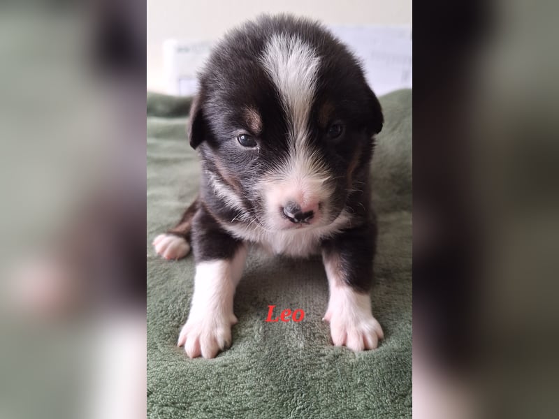 Sie sind endlich da 4 Mädels und 5 Jungs