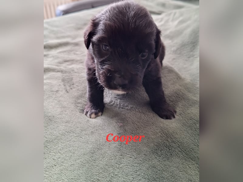 Sie sind endlich da 4 Mädels und 5 Jungs