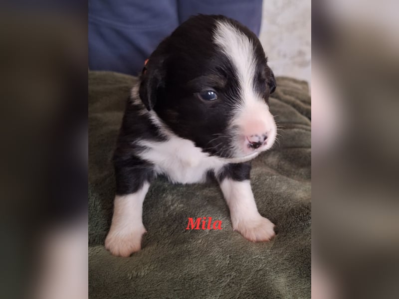 Sie sind endlich da 4 Mädels und 5 Jungs