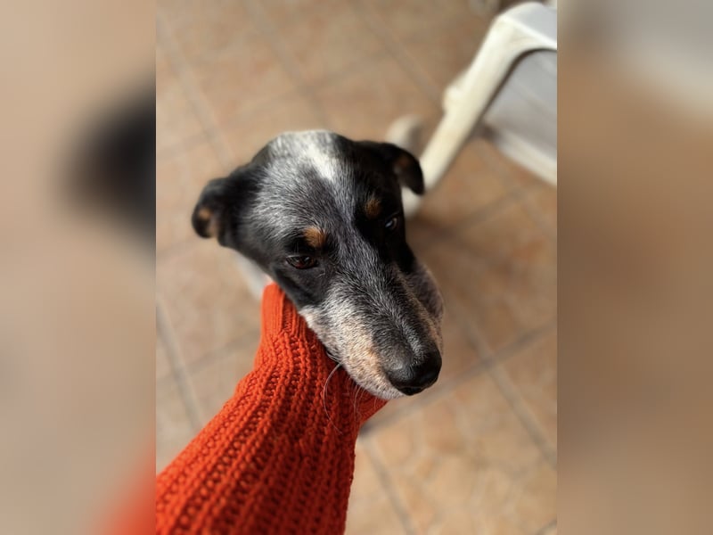 Anton, geboren 22.01.2022, 50cm sucht seine Menschen