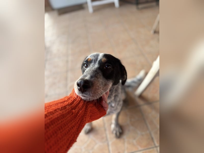 Anton, geboren 22.01.2022, 50cm sucht seine Menschen