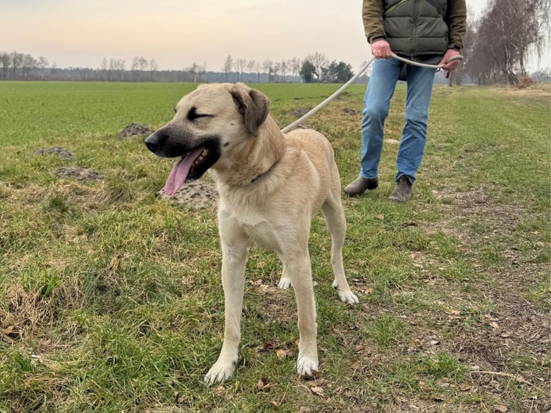 Ermes – aktiv und verschmust