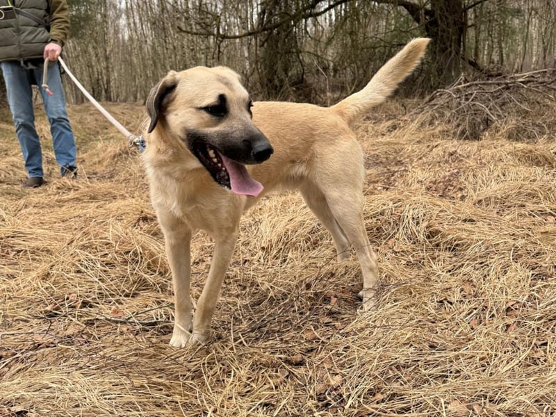 Ermes – aktiv und verschmust