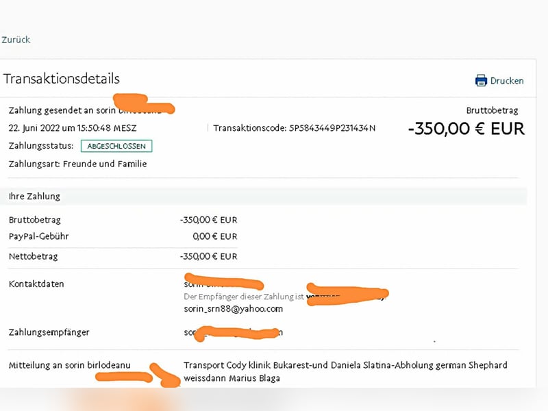 WASHINGTON - Gerettet, um gequält zu werden
