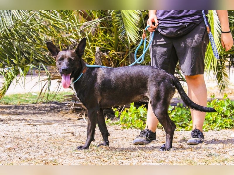 Powerlady Lindinha ✅ liebt Katzen und Menschen