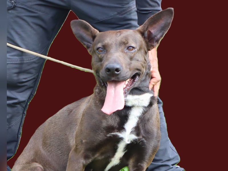 Powerlady Lindinha ✅ liebt Katzen und Menschen