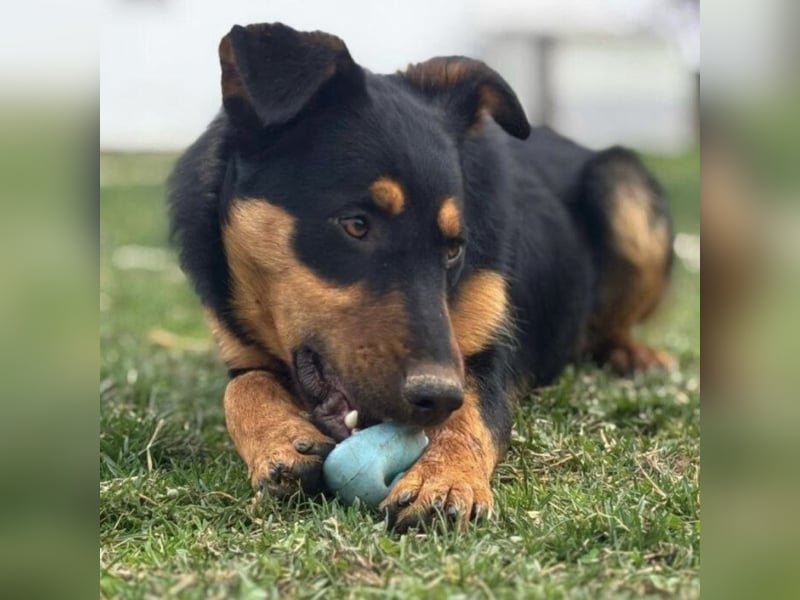 Pluton ein richtiger Teenie