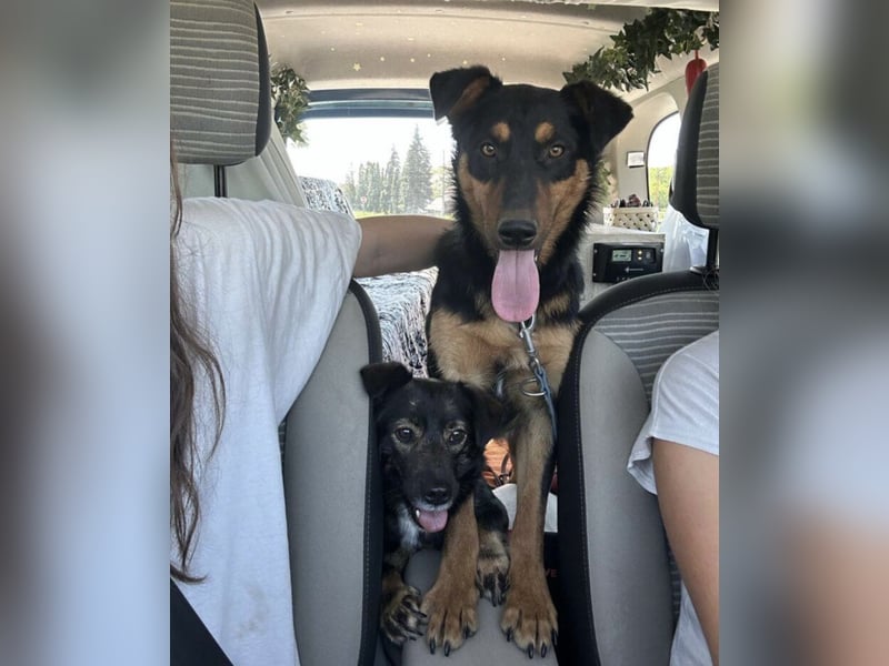 Pluton ein richtiger Teenie