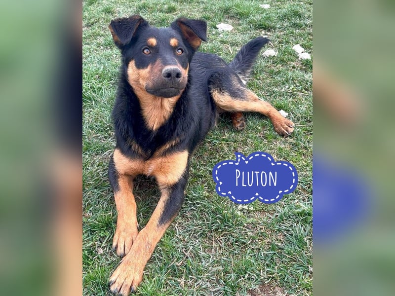 Pluton ein richtiger Teenie