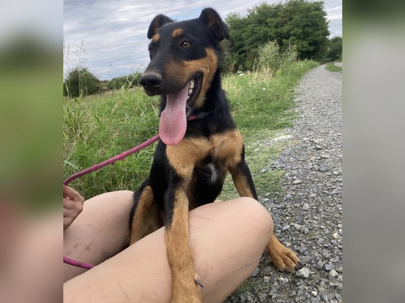 Pluton ein richtiger Teenie