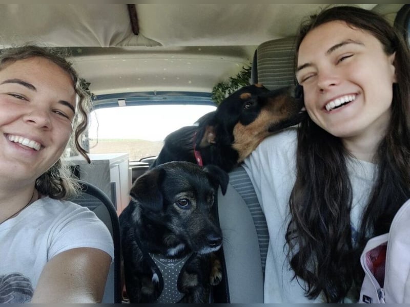 Pluton ein richtiger Teenie