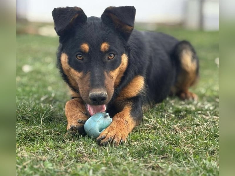 Pluton ein richtiger Teenie