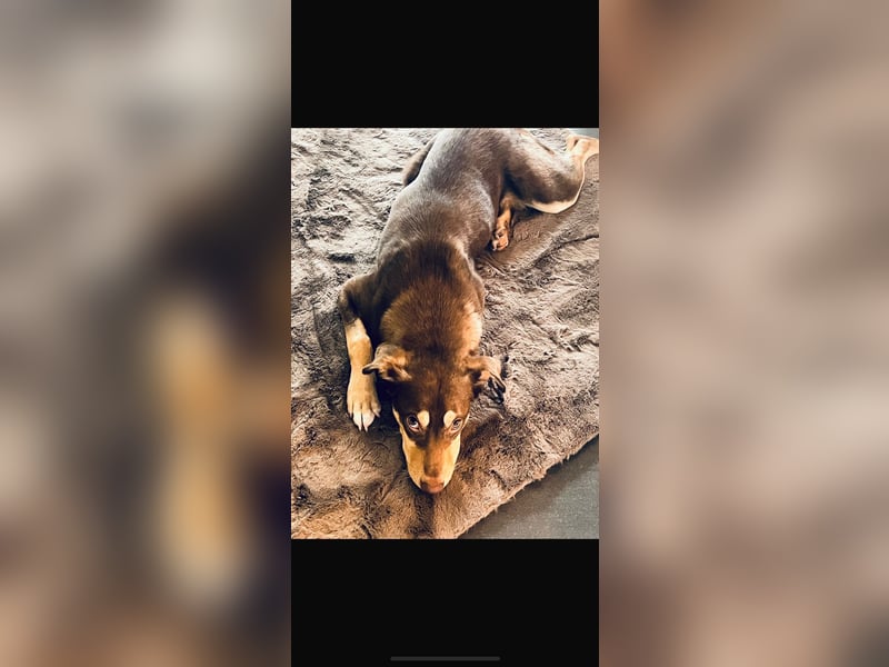 Creed, 1,5 Jahre sucht erfahrene Menschen als Einzelprinz