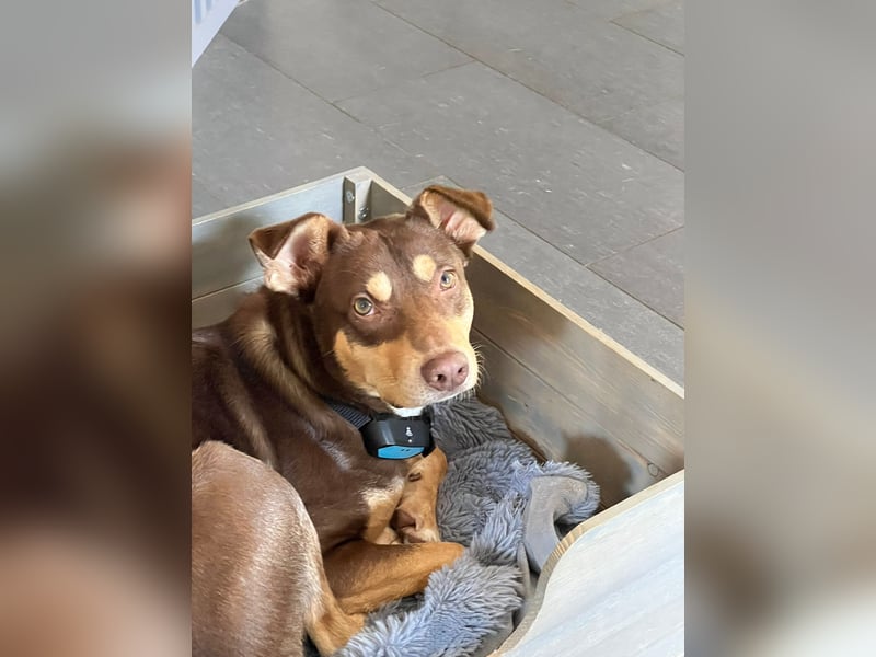Creed, 1,5 Jahre sucht erfahrene Menschen als Einzelprinz