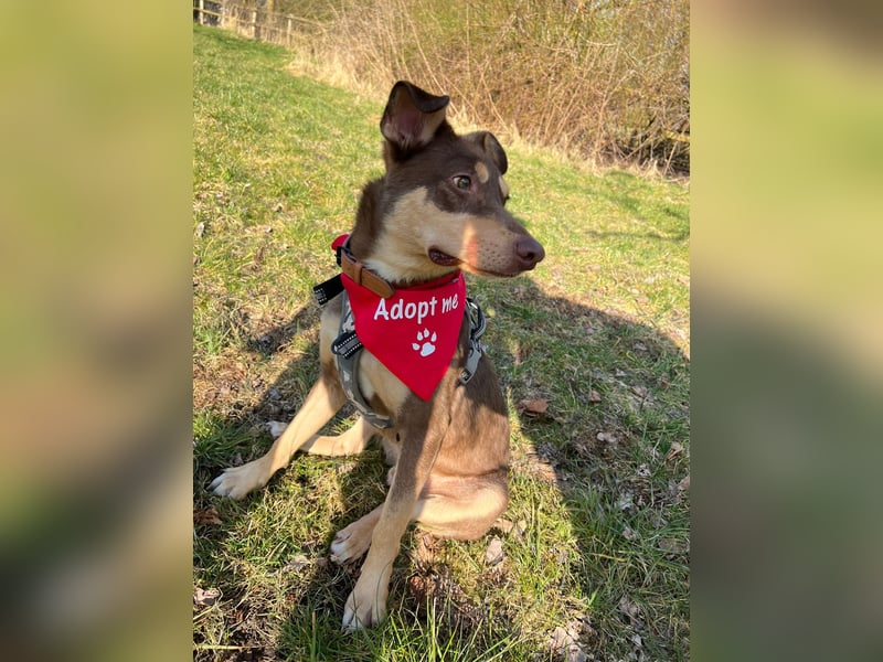 Creed, 1,5 Jahre sucht erfahrene Menschen als Einzelprinz
