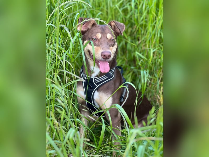 Creed, 1,5 Jahre sucht erfahrene Menschen als Einzelprinz