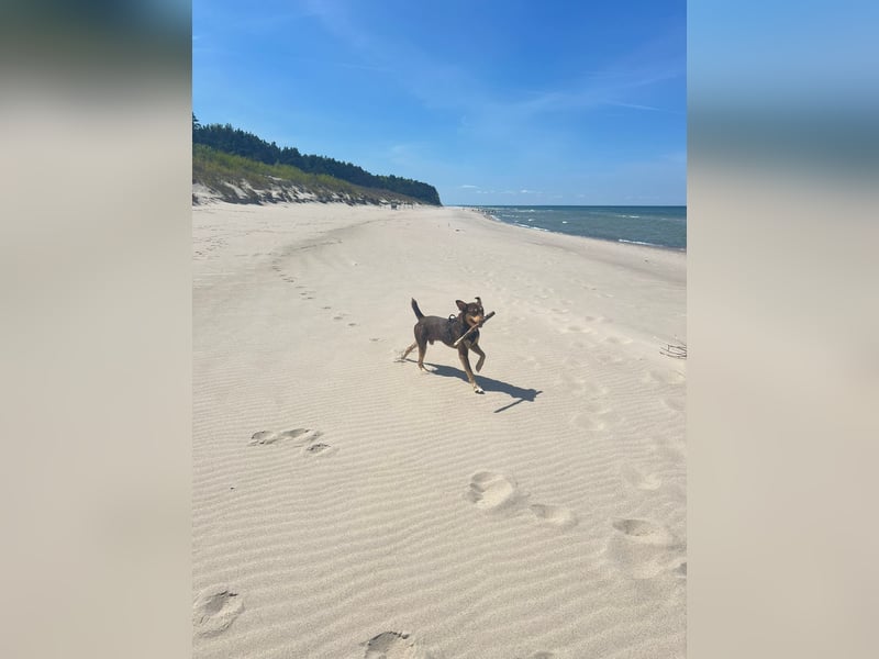 Creed, 1,5 Jahre sucht erfahrene Menschen als Einzelprinz