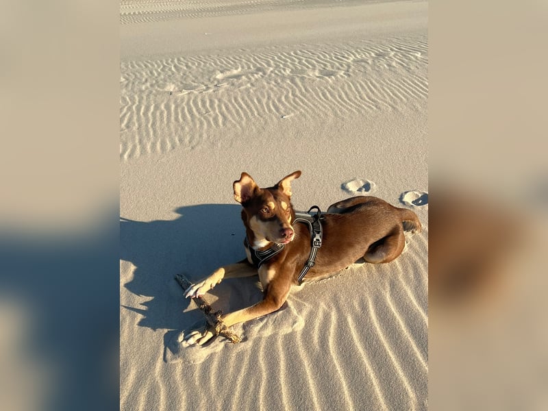 Creed, 1,5 Jahre sucht erfahrene Menschen als Einzelprinz