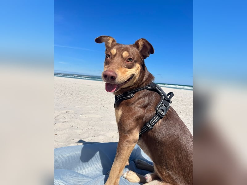 Creed, 1,5 Jahre sucht erfahrene Menschen als Einzelprinz