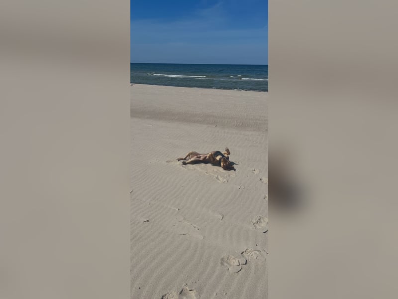 Creed, 1,5 Jahre sucht erfahrene Menschen als Einzelprinz