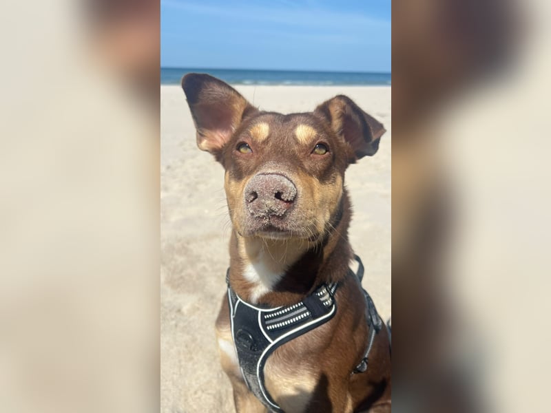 Creed, 1,5 Jahre sucht erfahrene Menschen als Einzelprinz