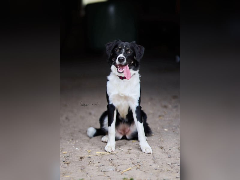 Kinderliebe Lotte wartet in 57439 Attendorn.