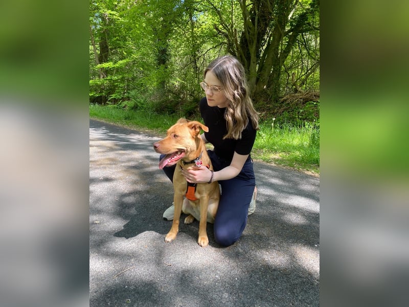 Herzenshündin Nala sucht ein ruhiges Zuhause – voller Liebe, aber ohne andere Tiere