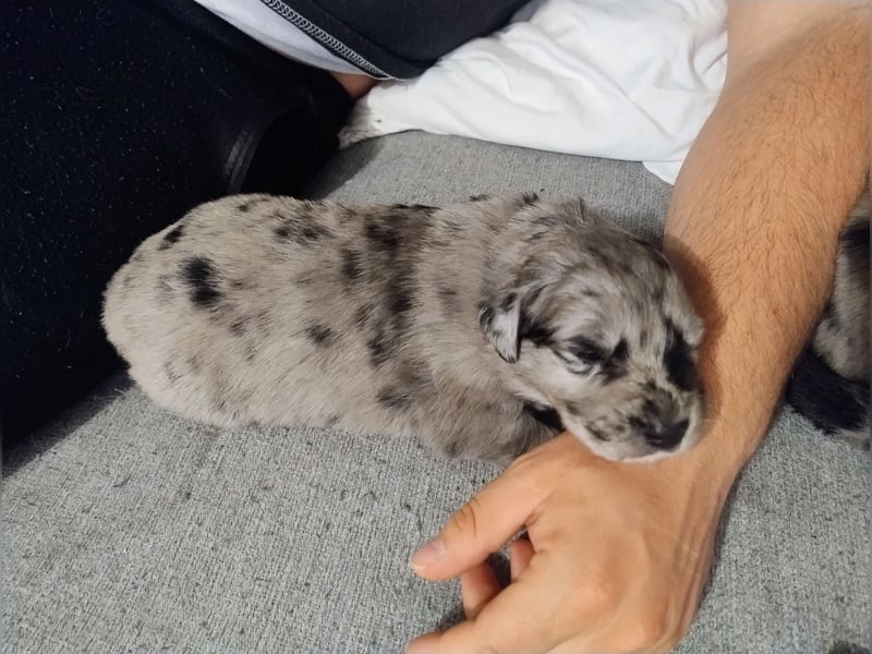 Sie ist die hellste von den Babys
