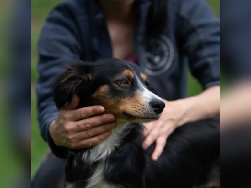 Binka