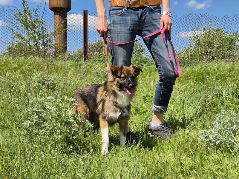 Süße Tessa sucht liebevolle Menschen