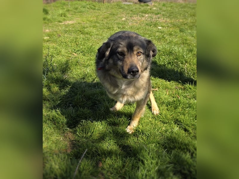 Australien scheppert Mix Barry