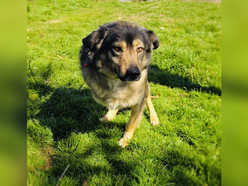 Australien scheppert Mix Barry