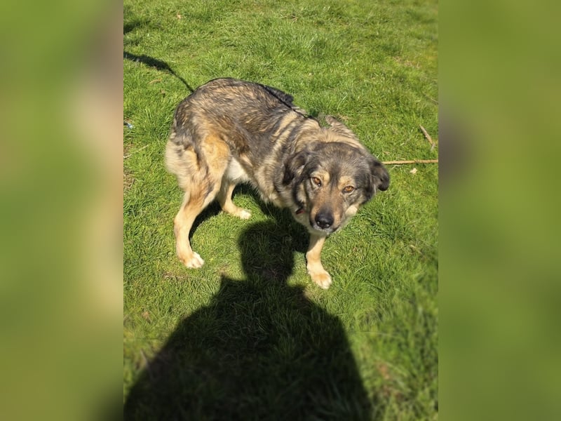 Australien scheppert Mix Barry