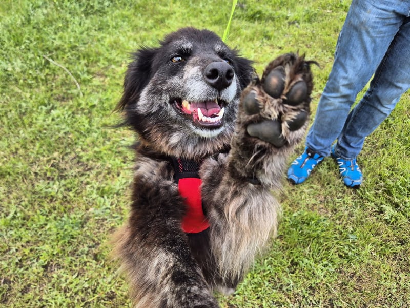 Hübsche Berta sucht ihre Menschen