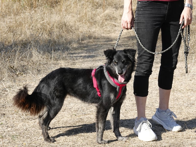 Hübsche Berta sucht ihre Menschen