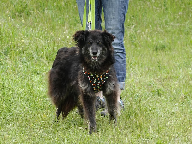 Hübsche Berta sucht ihre Menschen