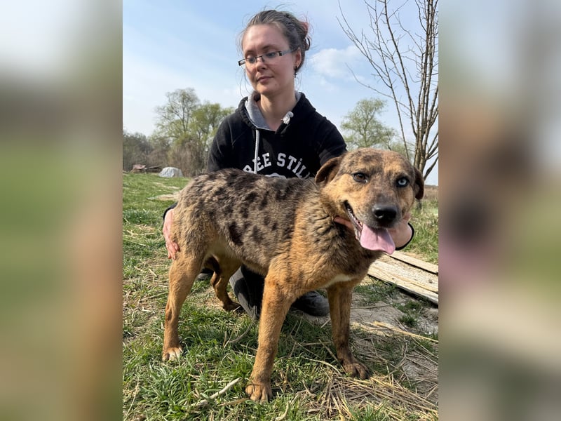 Rezeda wartet auf ihr großes Glück