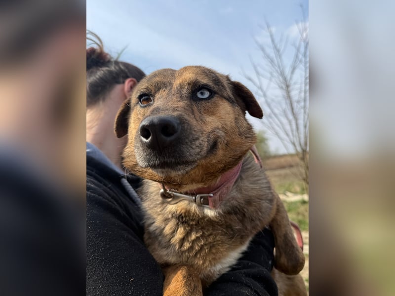 Rezeda wartet auf ihr großes Glück