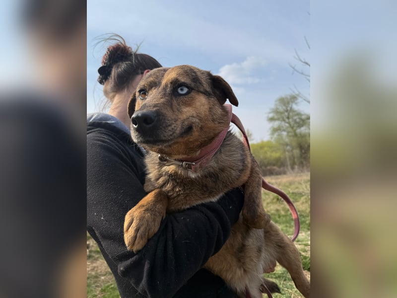 Rezeda wartet auf ihr großes Glück