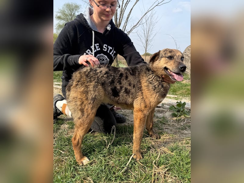 Rezeda wartet auf ihr großes Glück