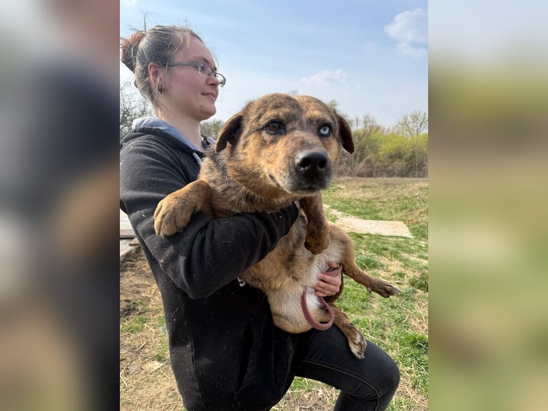 Rezeda wartet auf ihr großes Glück