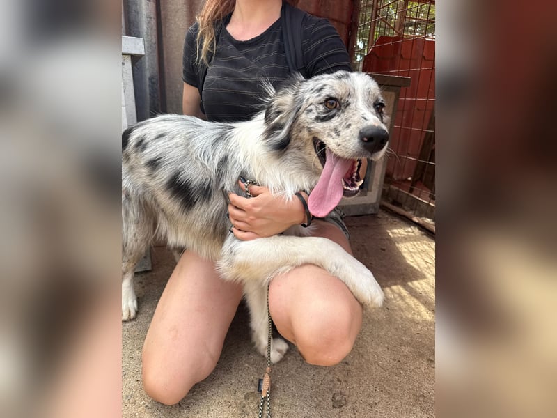Mona sucht ein Zuhause voller Liebe