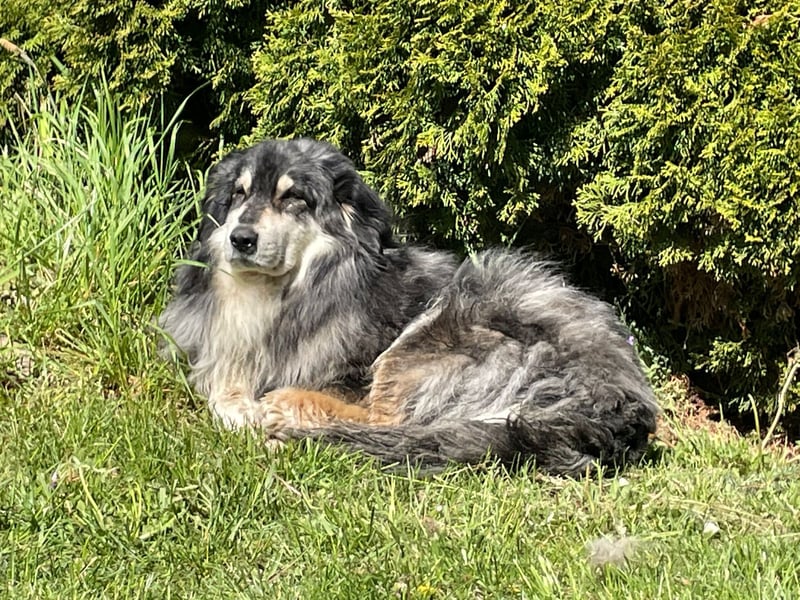 Gemütliche Emma